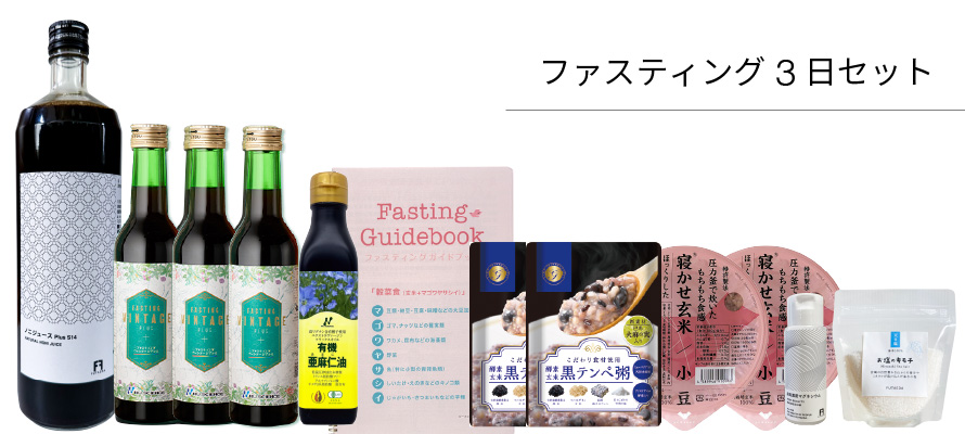 ファスティングジュース、Great Fasting、ファスティング3日セット