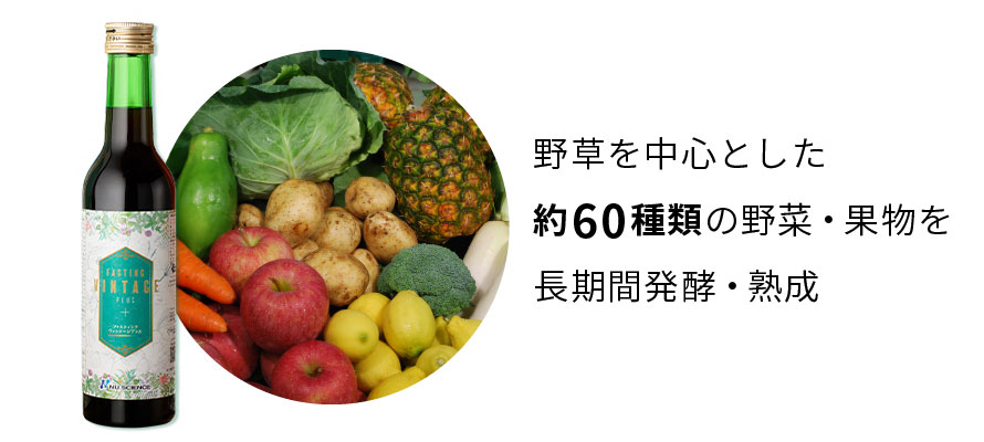 野草を中心とした約60種類の野菜・果物を長期間発酵・熟成