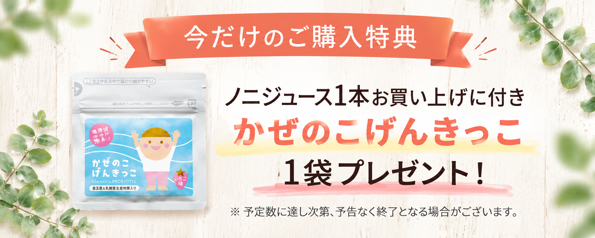 今だけのご購入特典